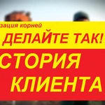 Фото №41 СПИЛ КОРЧЕВАНИЕ ВЫРАВНИВАНИЕ ПЛАНИРОВКА СПБ И ЛЕНОБЛАСТЬ.
