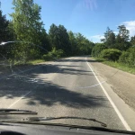 Фото №5 Переезды в другой регион