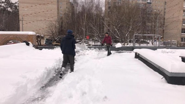 Фото Чиста и вывоз снега 