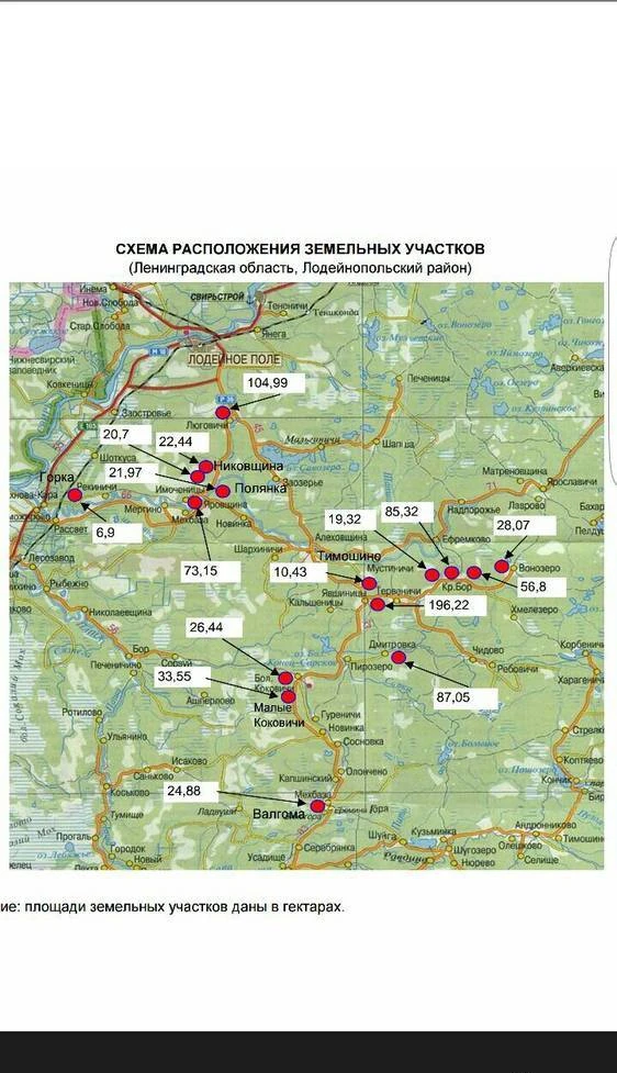 Фото 1000га ЛПХ земли в Ленинградской области .