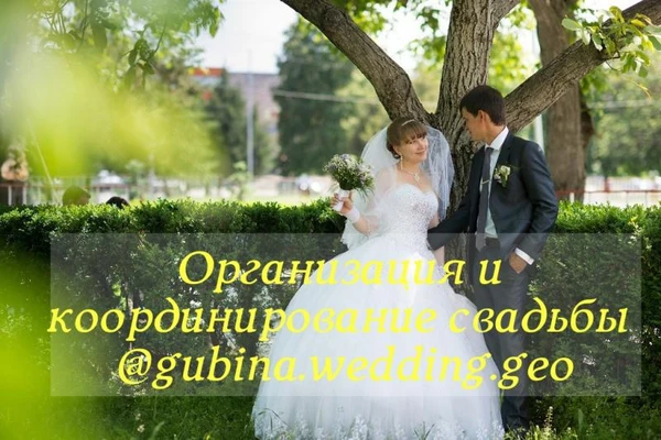 Фото Свадьба под ключ, организатор