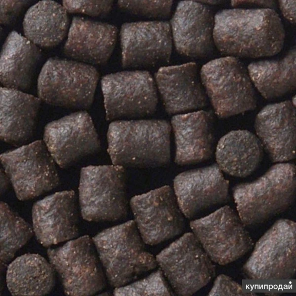 Фото Купить корм для Стерляди