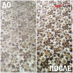 Фото №4 Стирка Чистка ковров