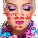 Фото №4 Реснички