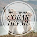 Дрессировка/хендлинг собак