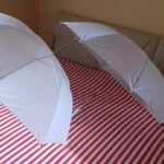 Фото №4 Свадьба:Палатка, зонты белые, стол 180, люстра для цветов, мольберт для рассадки