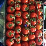 Фото №3 Помидоры оптом из Турции