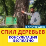 Спил деревьев.