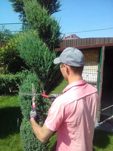 Фото Услуги садовника