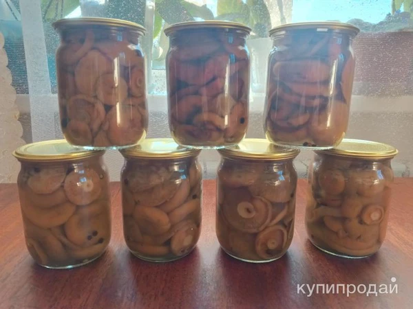 Фото Грибы маринованные, рыжики