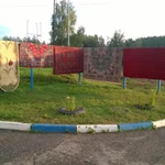 Фото №4 Чистка ковров