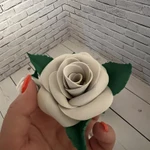 Фото №2 Розы для фотофона