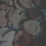 фото Подосиновик