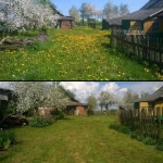 Фото №3 Покос травы