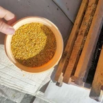 Фото №2 Пыльца пчелиная 2024