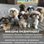 Позаботимся о вашем питомце