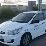 Сдам в аренду Hyundai Solaris МКПП