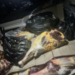 Фото №3 Яки