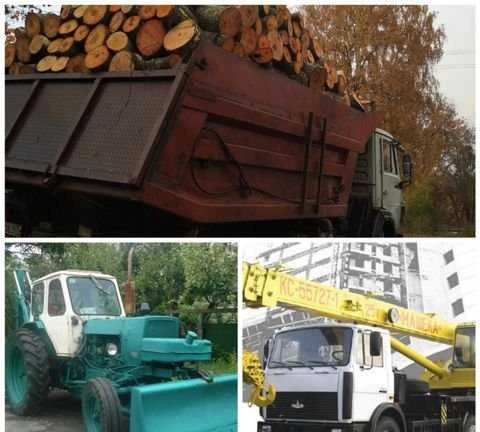Фото Услуги спецтехники