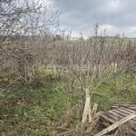 Фото №2 Лот  75008 Продаётся участок в СТ «Селена» Гагаринского района, 9 соток