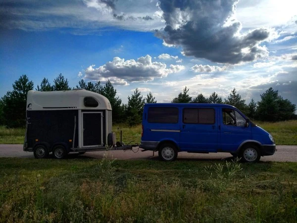 Фото Перевозка лошадей. 
