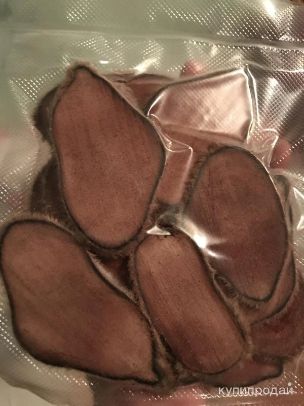 Фото Панты марала