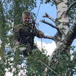 Фото №2 Удаление, вырубка, обрезка деревьев в Подольске