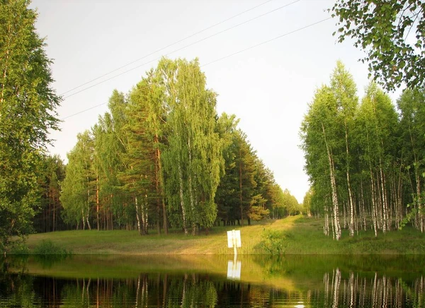 Фото Земельные участки