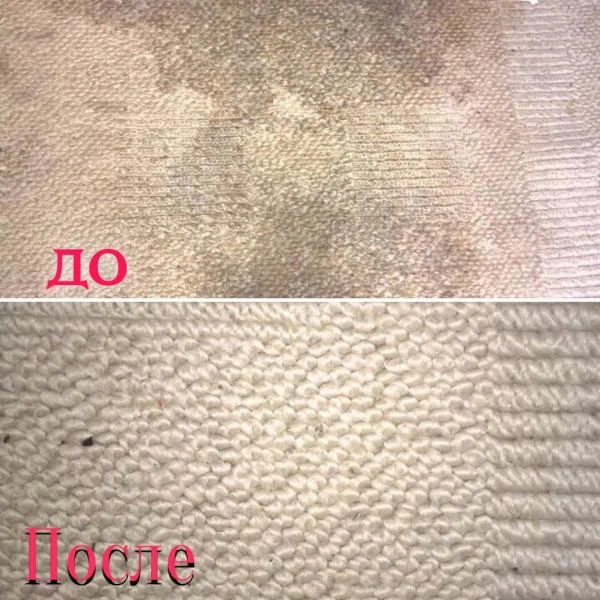 Фото Влажная чистка ковров