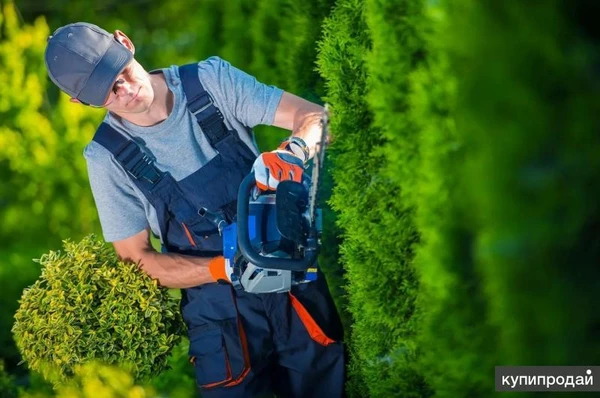 Фото Садовник каталог. микрорайон Электроника, Отрожка, Краснолесный.