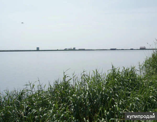 Фото Прудовое хозяйство 135 Га