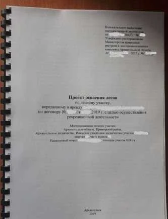 Фото Оформление документов аренды лесного участка