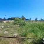 Фото №9 Лот  74236 Ровный, четырехугольный участок со сторонами 39 х 27 х 32 х 26