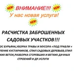 Расчистка заброшенных садовых участков