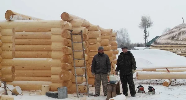 Фото Срубы из зимнего леса.