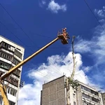 Фото №5 СПИЛ ДЕРЕВЬЕВ, ОБРЕЗКА 