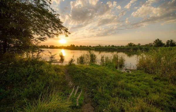 Фото Земля 30 Га, выход на Азовское море и лиман