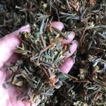 Саган-Дайля (с цветами июньский) чай долголетия