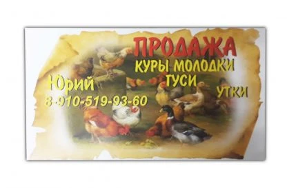 Фото Визитные карточки и другая полиграфия