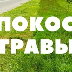 ПОКОС ТРАВЫ