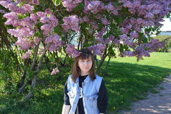 Фото Создание и администрирование сайтов на разных платформах