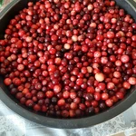 Фото №2 Клюква свежая, Кг