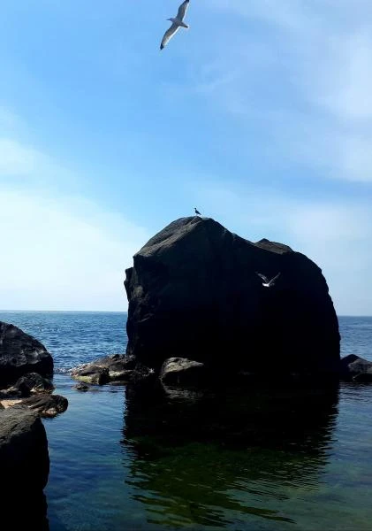 Фото ТАКСИ АЭРОПОРТ ЯЛТА  ОРЕАНДА 