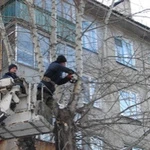 Фото №2 Благоустройство на даче.во дворе.спилка деревьев
