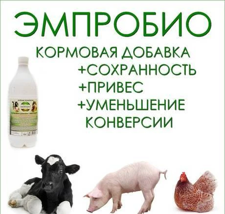 Фото Эмпробио продуктивная птица