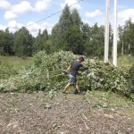 Расчистка участков от древесно-кустарниковой растительности