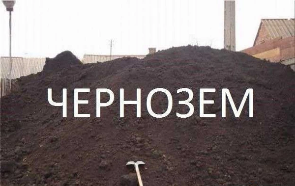 Фото Чернозем (Лесной,Плодородный)