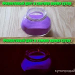 Фото №2 Люминофор долгого свечения