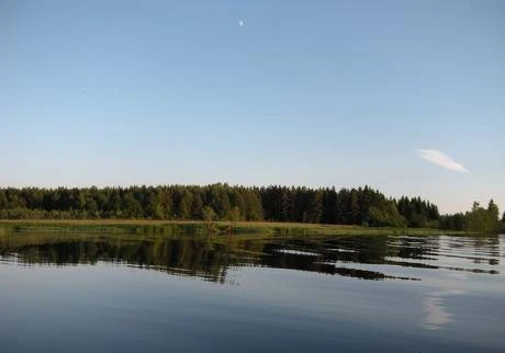 Фото Берег реки Нерль, лесной земельный участок 24 сотки