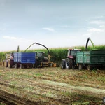 Фото №9 Кормоуборочный комбайн CHALLENGER - FJB GROUP LLC